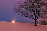 Snowscape At Dawn_12150